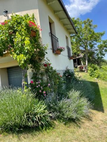 Holiday home Casa Della Luna Badia Tedalda